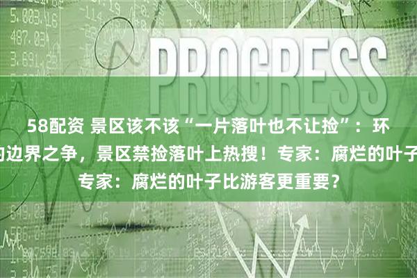 58配资 景区该不该“一片落叶也不让捡”：环保与浪漫体验的边界之争，景区禁捡落叶上热搜！专家：腐烂的叶子比游客更重要？