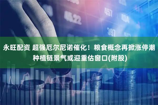 永旺配资 超强厄尔尼诺催化！粮食概念再掀涨停潮 种植链景气或迎重估窗口(附股)
