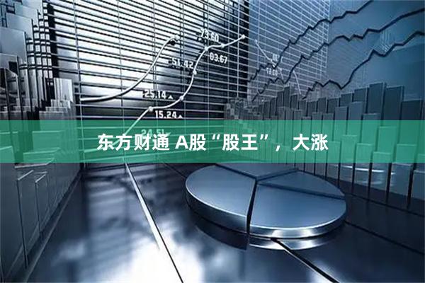 东方财通 A股“股王”,大涨