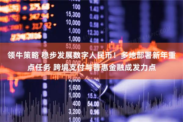 领牛策略 稳步发展数字人民币！多地部署新年重点任务 跨境支付与普惠金融成发力点
